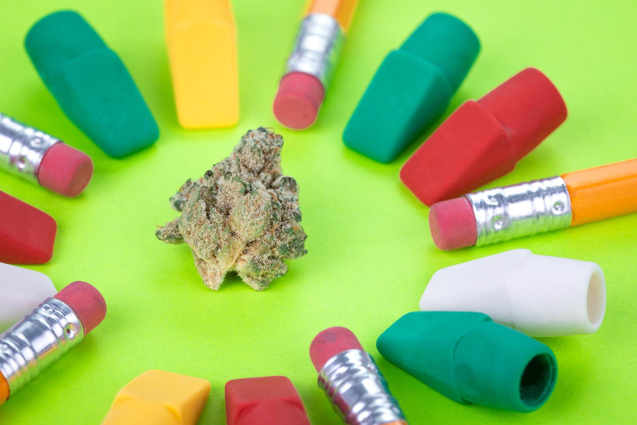 about potography - contest survey page 1 - cannabis buds surrounded by pencils and erasers on green background landscape