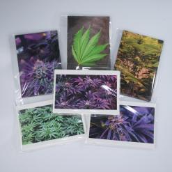 cannabis photo notecards photography potography variety -IMG_5280