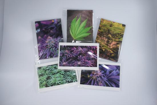 cannabis photo notecards photography potography variety -IMG_5280
