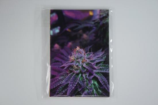 cannabis photography potography notecard cannabis bud - IMG_5287