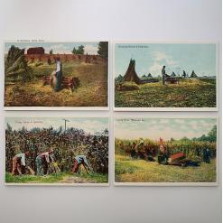 historic hemp postcards set of 8 - 4-hemp-postcards-group-1-product-image