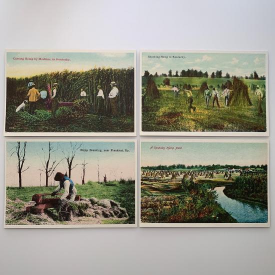 historic hemp postcards - 4-hemp-postcards-group-2-product-image