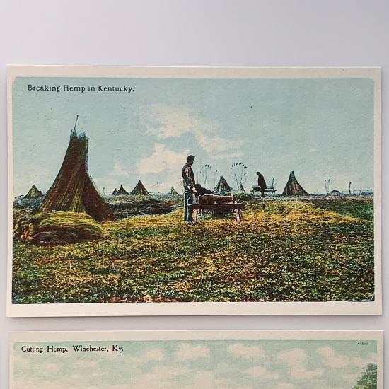hemp farm postcards, historic hemp postcard 2 breaking-hemp-in-kentucky-product-image