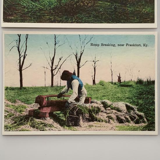 vintage style postcards - historic hemp postcard 7 hemp-breaking-near-frankfurt-kentucky-product-image