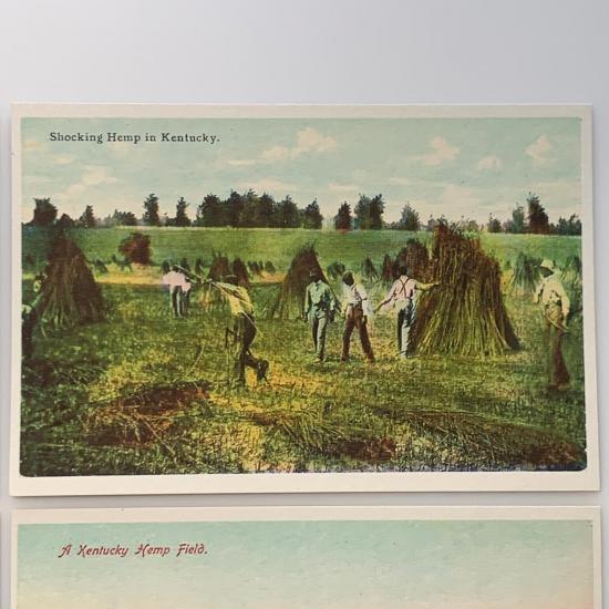 antique style postcards - historic hemp postcard 6 shocking-hemp-in-kentucky-product-image
