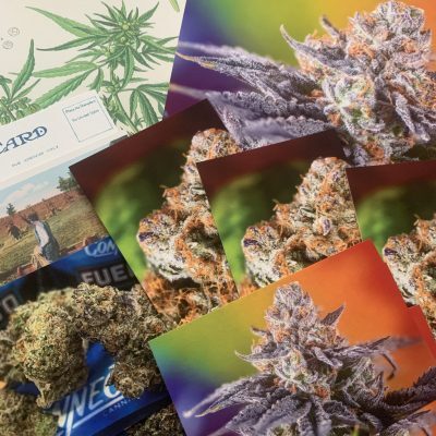 hemp fine art prints, cannabis photography, prize packs, hemp paper prints, custom hemp prints catalog archive