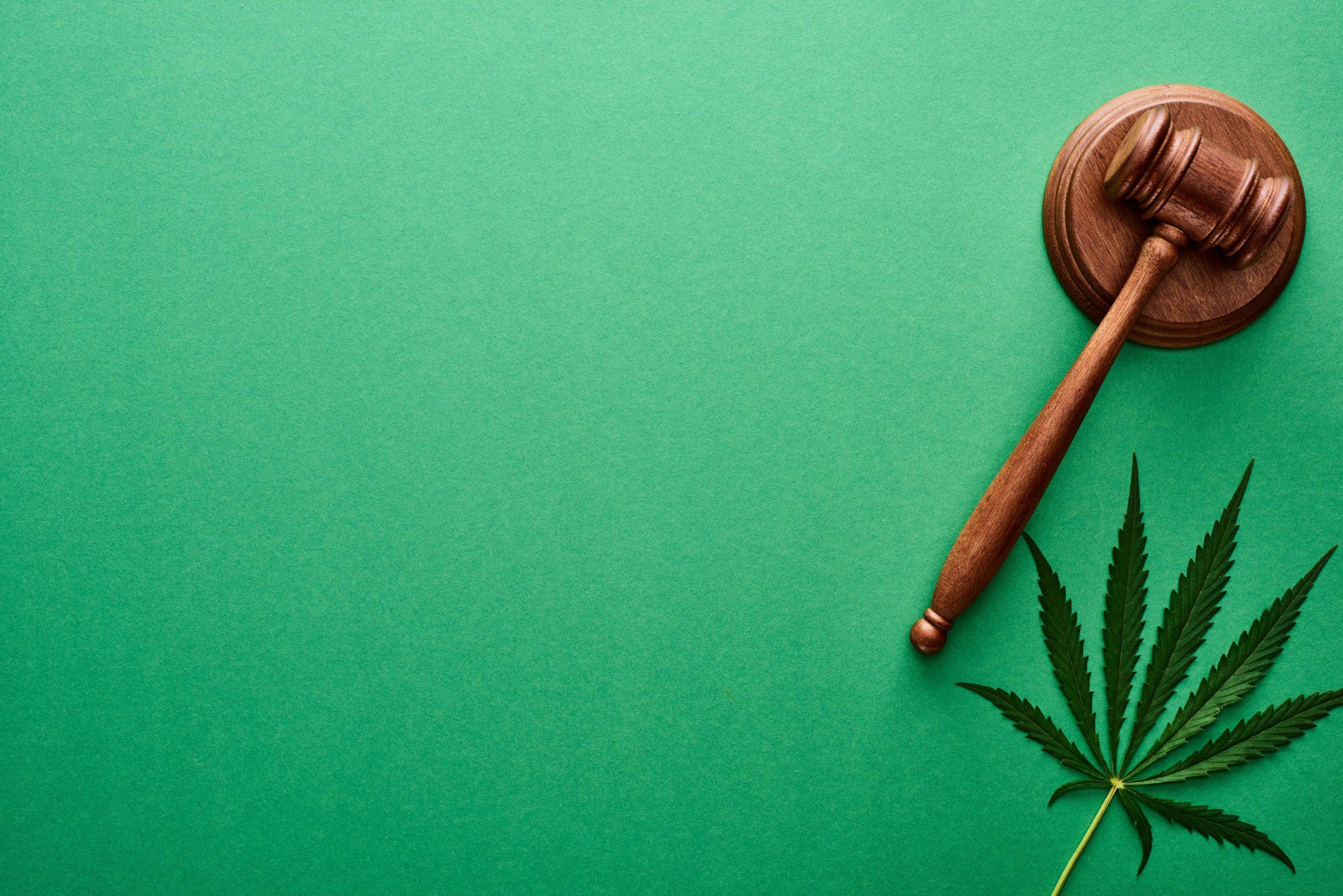 cannabis-court-laws-judge-disclaimer-page-image