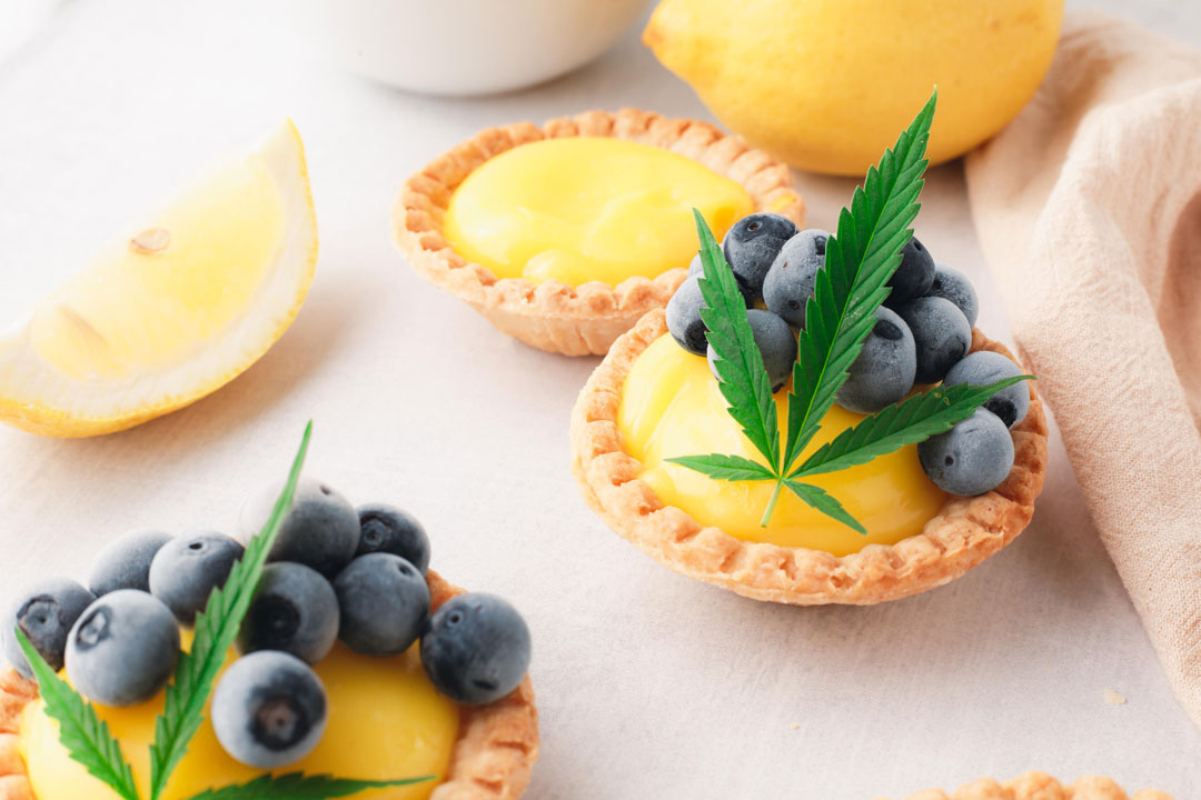 cannabis photography styles and trends forum cover image - cannabis leaves on lemon pastry