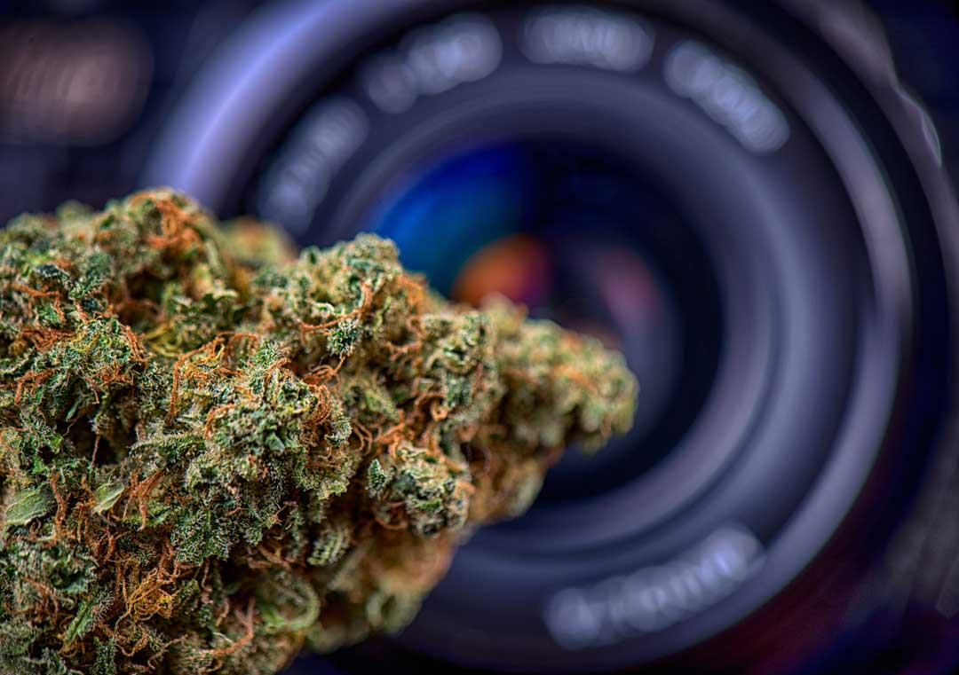 Cannabis Photography Forum Cover - image of cannabis bud in front of professional camera lens