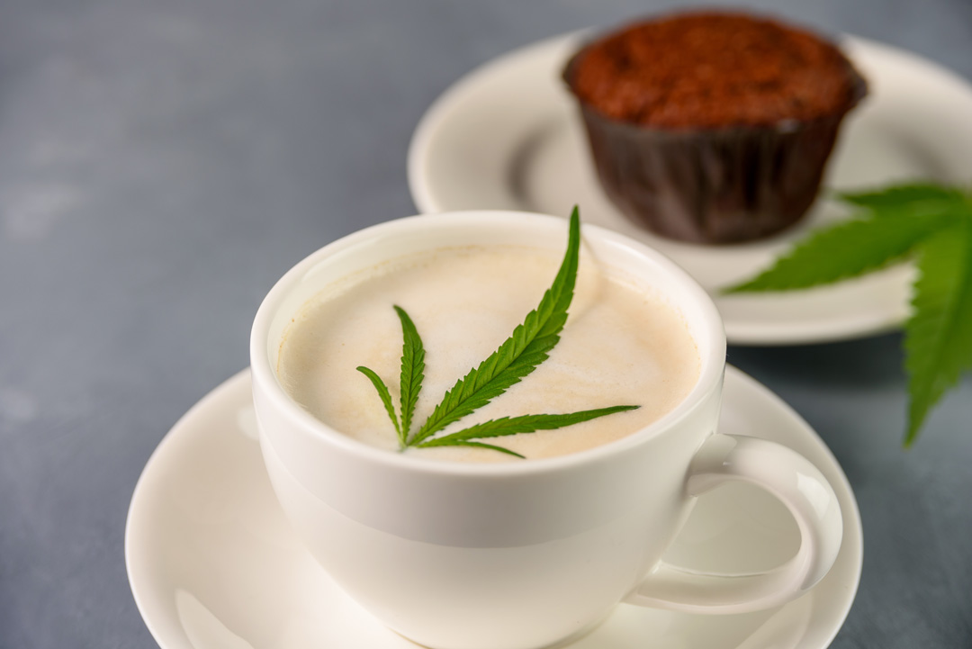 cannabis creative business and freelance photography forum cover photo. image of cup of coffee and cannabis leaf garnish