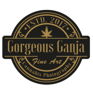 Profile photo of GorgeousGanjaPhotography