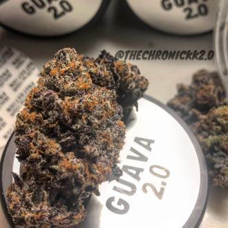 GUAVA 2.0 By Connected California