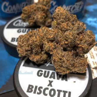 Guava Biscotti By Connected Cannabis Co